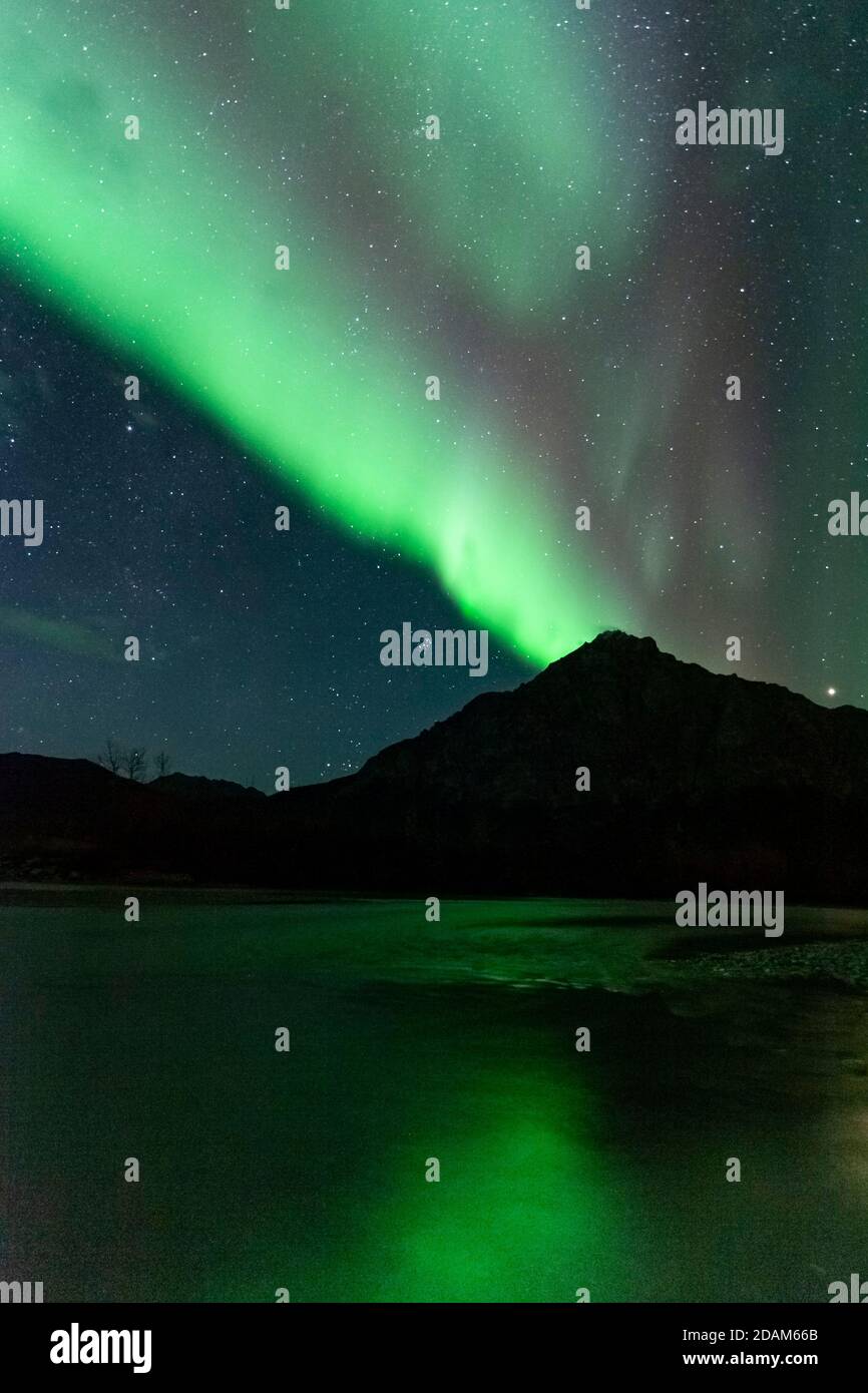 Nordlichter, Aurora Borealis, Arktisches Alaska Stockfoto