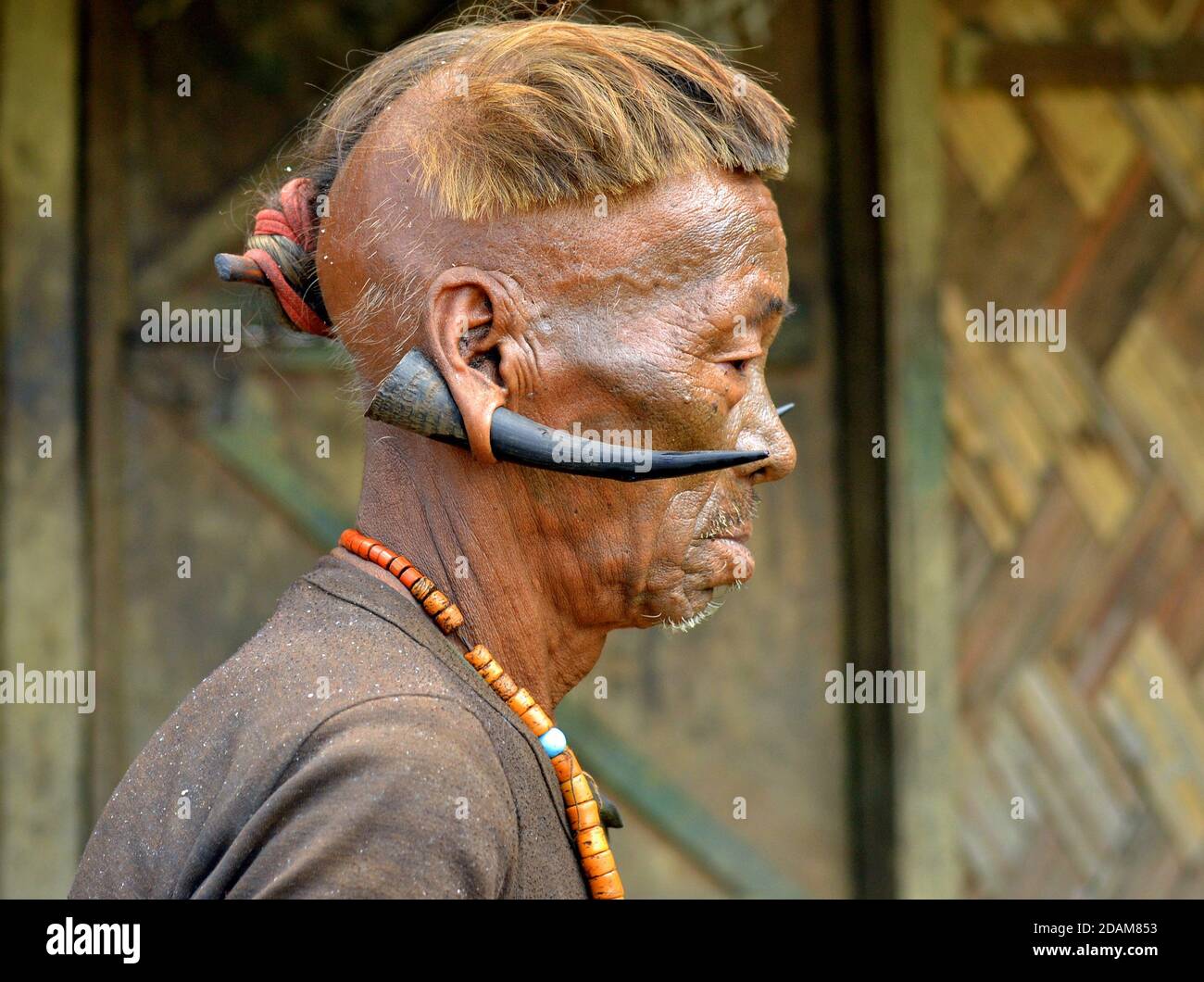 Alter Konyak Naga Krieger und Ex-Headhunter mit Gesichts-Tattoo, Tribal Frisur und Hirsch Hörner in seinen Ohrläppchen Posen für die Kamera (Profilfoto). Stockfoto