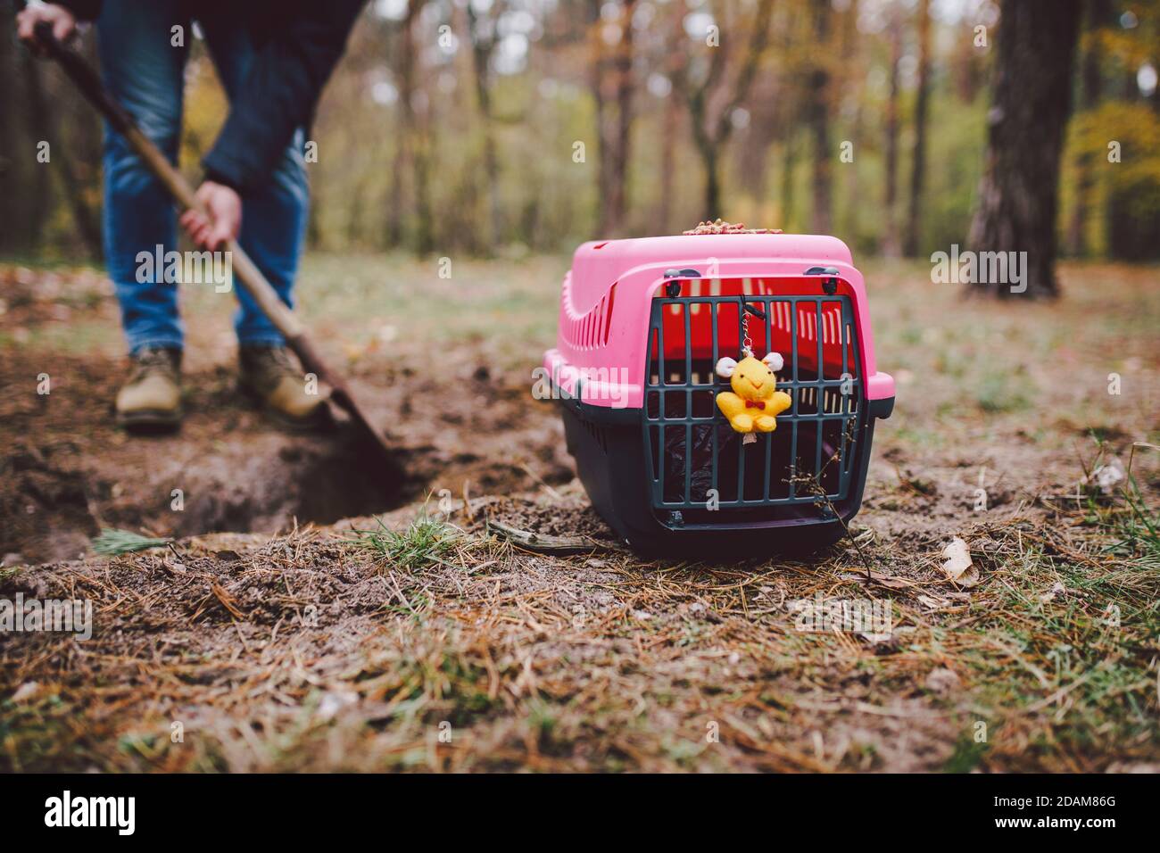 Gruselige Szene auf dem Tierfriedhof. Das Grab der verlorenen Tierfreunde. Kameradschaft, Abschied. Ein Mann bringt ein totes Haustier in einem Träger in den Wald und Stockfoto