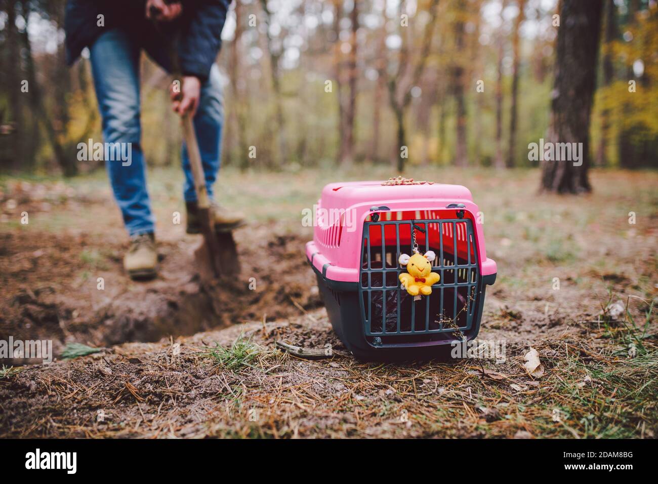 Gruselige Szene auf dem Tierfriedhof. Das Grab der verlorenen Tierfreunde. Kameradschaft, Abschied. Ein Mann bringt ein totes Haustier in einem Träger in den Wald und Stockfoto