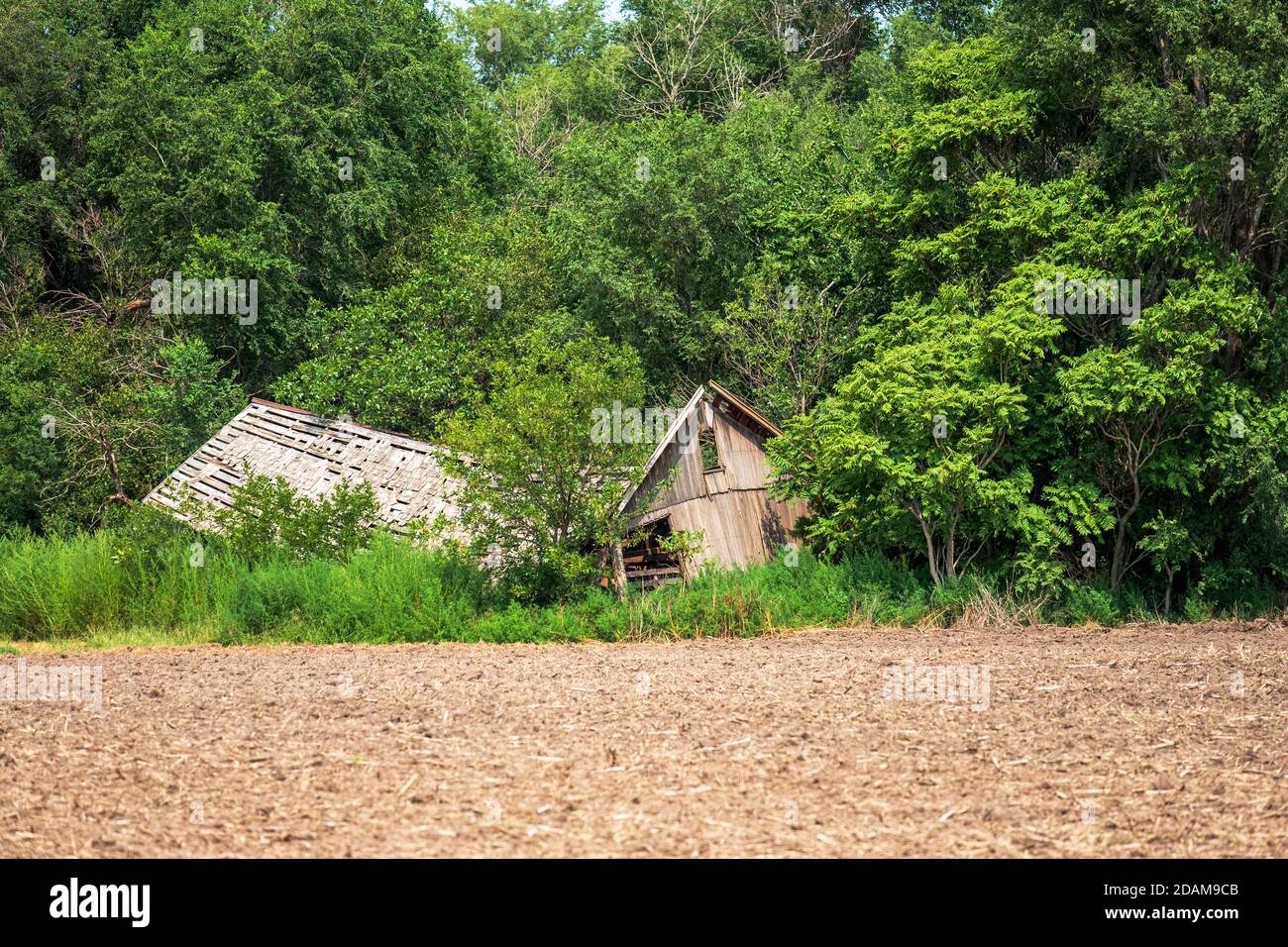 Verlassene, verfallene und eingestürzte Scheune oder Farmgebäude auf dem Land neben einem gepflügten Feld in Kansas, USA. Stockfoto