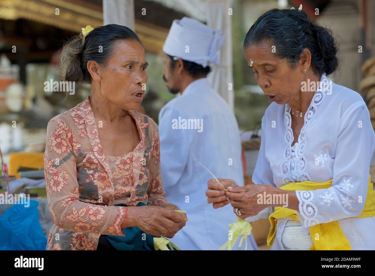 Balinesische Frauen, die kleine Körbe für religiöse Darbringung im Gunung Kawi Tempelkomplex, Tampaksiring, Bali, Indonesien, anklagend Stockfoto