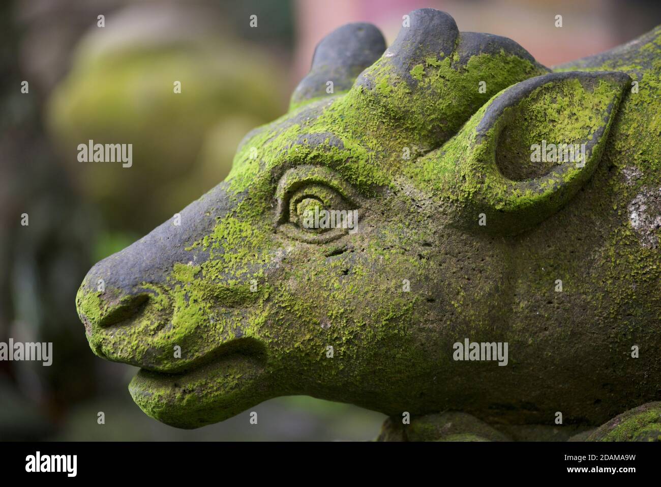 Steinskultpur einer (heiligen) Kuh. MonkeyForest, Ubud, Bali, Indonesien Stockfoto