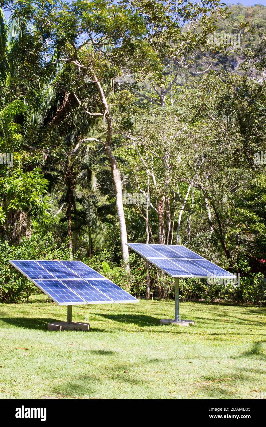 Sonnenkollektoren mit Dschungel dahinter. Stockfoto