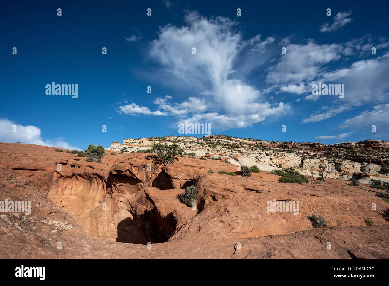 Red Rocks und Blue Sky in der Wildnis des Capitol Reef Stockfoto