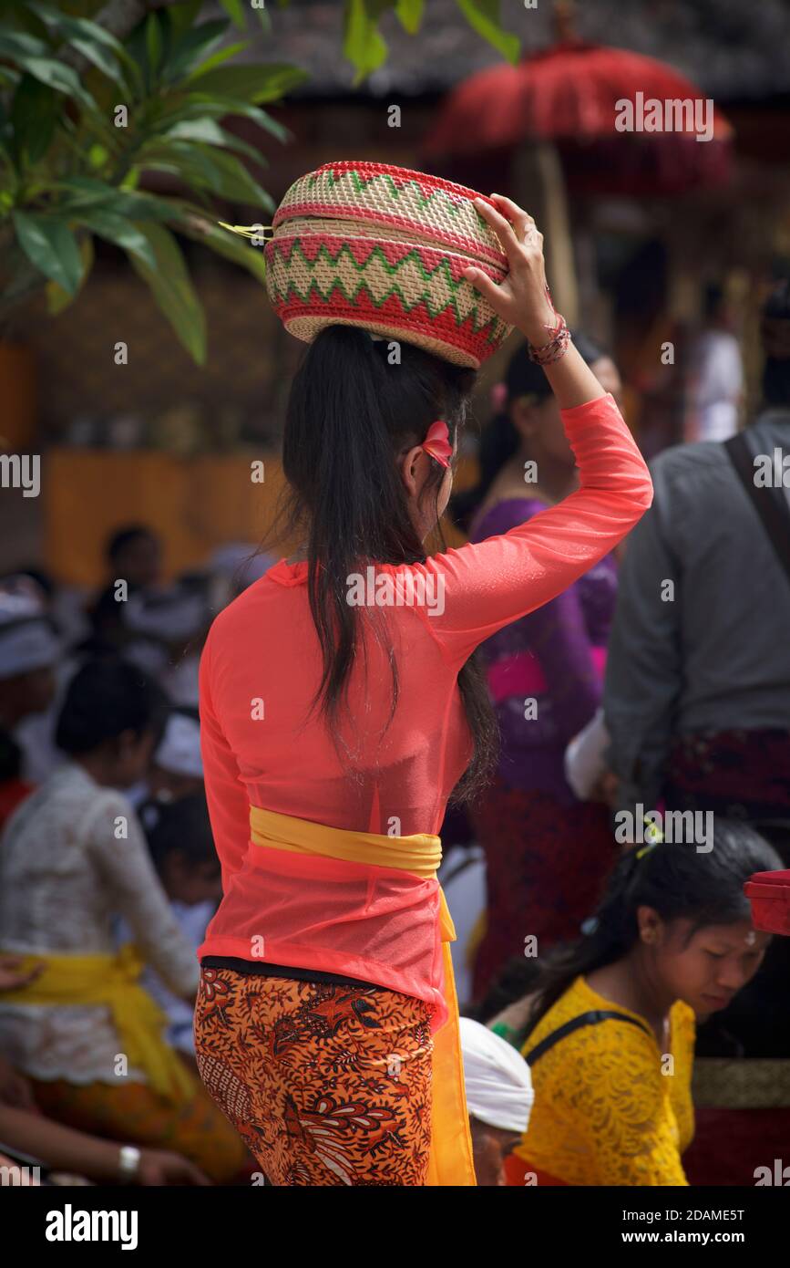 Junge balinesische Frau in traditioneller Kleidung, die in einem Korb eine Opfergabe an den Tempel trägt. Sakenan Tempel, Bali, Indonesien Stockfoto