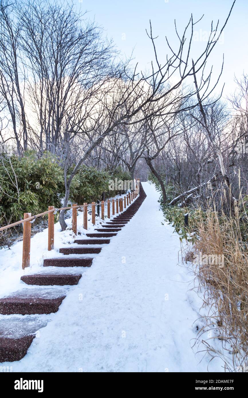 Wanderweg in Jigokudani oder Hell Valley, im Winter Stockfoto