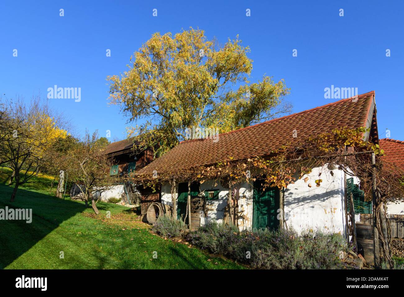 Heiligenbrunn: Kellerviertel Heiligenbrunn, gedachtes Dachhaus, Südburgenland, Burgenland, Österreich Stockfoto