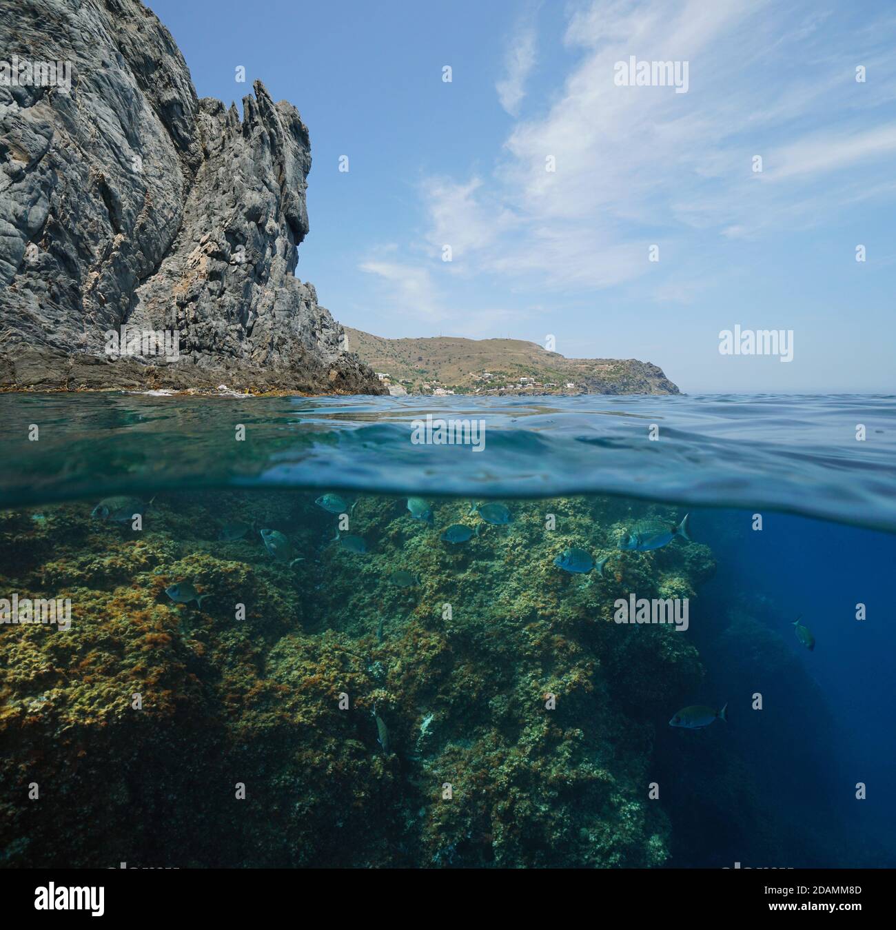Seascape Mittelmeer, felsige Küste mit Seevögeln unter Wasser, Split Ansicht halb über und unter Wasser, Spanien, Costa Brava, Colera, Katalonien Stockfoto