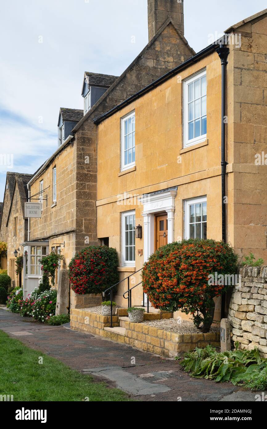 Pyracantha. Firethorn Sträucher vor einer cotswold Steinhütte im Herbst. Broadway, Cotswolds, Worcestershire, England Stockfoto