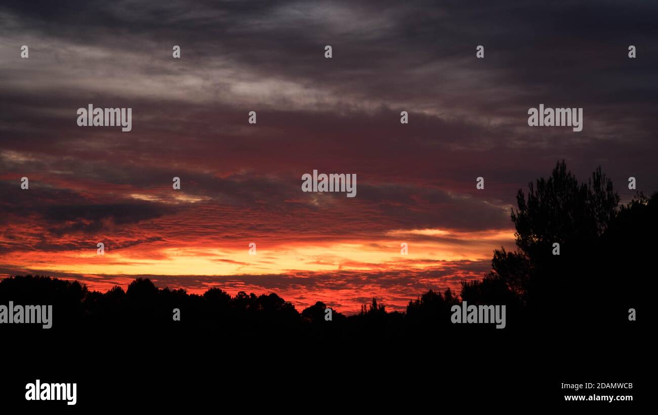 Baumgrenze Silhouette gegen erstaunliche rote Wolken nach Sonnenuntergang Himmel Stockfoto