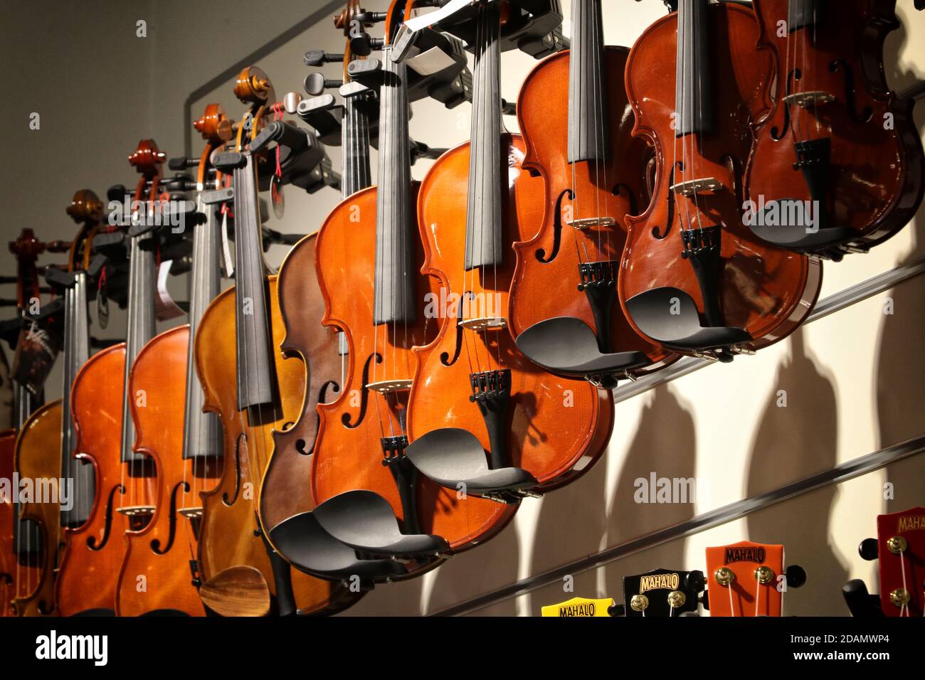 Violinen zum Verkauf in einem Musikgeschäft Stockfoto