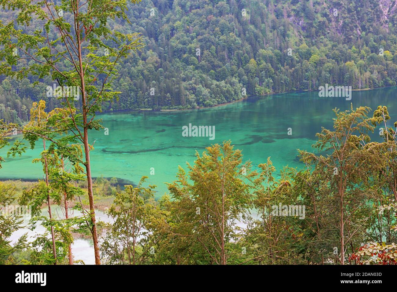 Blick hinunter auf das türkisfarbene Wasser des Almsee, auf der Wanderung zum Ameisstein Stockfoto