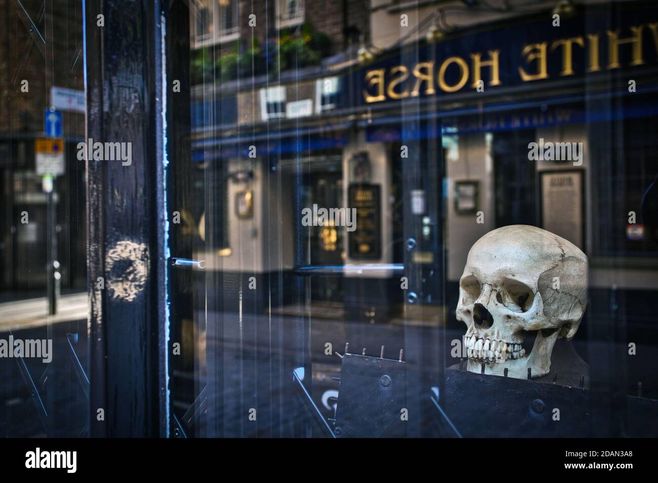 GROSSBRITANNIEN / England / London / eine unwirkliche Stadtsperre in London 24.3.2020/The Frog Shop in Soho zeigt im Fenster die Möwe. Stockfoto