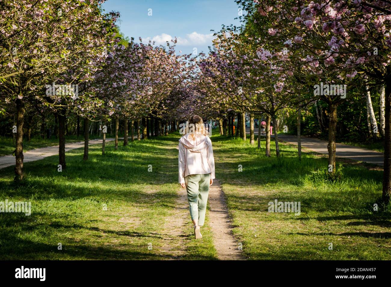 junge Frau im Park spazieren Stockfoto
