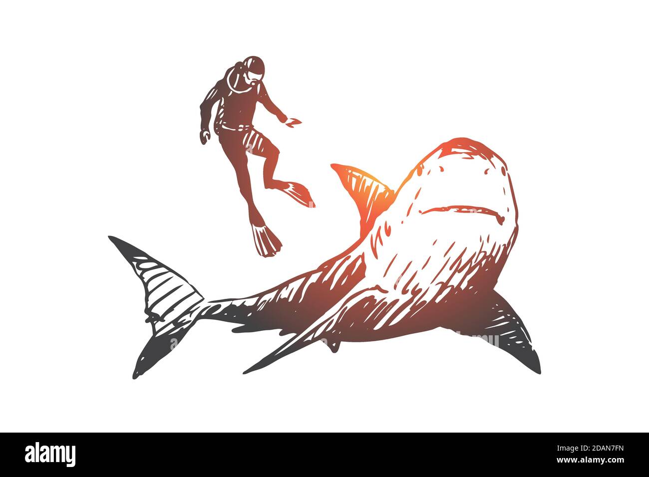 Meer, Fauna, Hai, Schwimmen, Unterwasser, Meereskonzept. Von Hand gezeichneter isolierter Vektor. Stock Vektor
