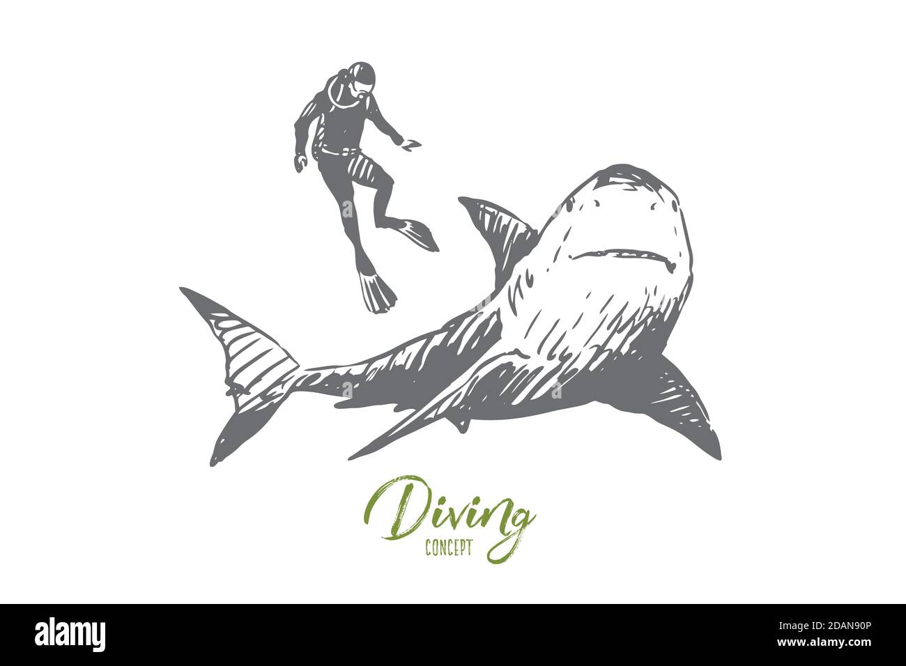 Meer, Fauna, Hai, Schwimmen, Unterwasser, Meereskonzept. Von Hand gezeichneter isolierter Vektor. Stock Vektor