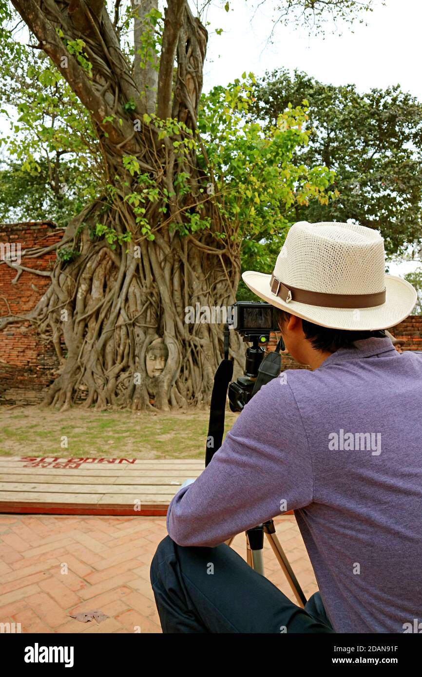 Mann in weißem Hut Bilder des berühmten Kopf der alten Buddha-Statue gefangen in Bodhi Tree Roots in Wat Mahathat Temple Ruins, Ayutthaya, Thailand Stockfoto