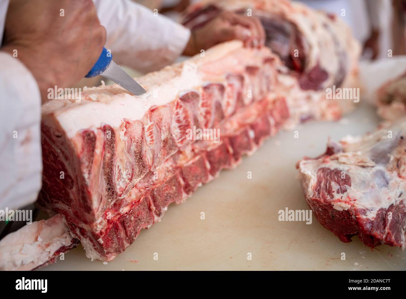 Nahaufnahme Metzger Schneiden Sie rohes Fleisch Wagyu Rindfleisch mit einem Messer im Schlachthof, Fleischindustrie, Wagyu Rindfleisch Stockfoto