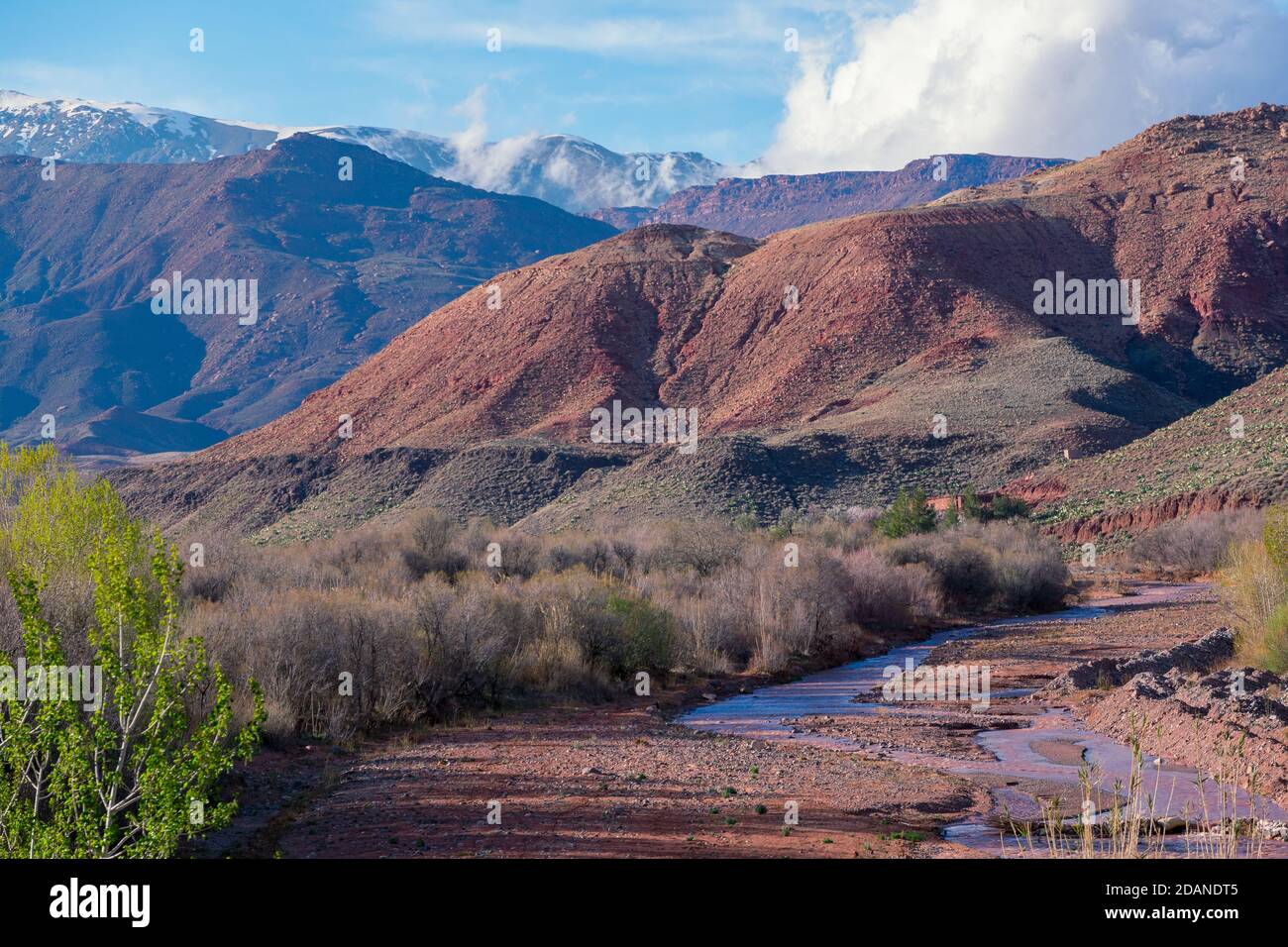 Tagsüber Weitwinkel Aufnahme der schönen Landschaft von schneebedeckten Bergen und Büschen und ein riachuelo im Tal. Atlas, Marokko. Stockfoto