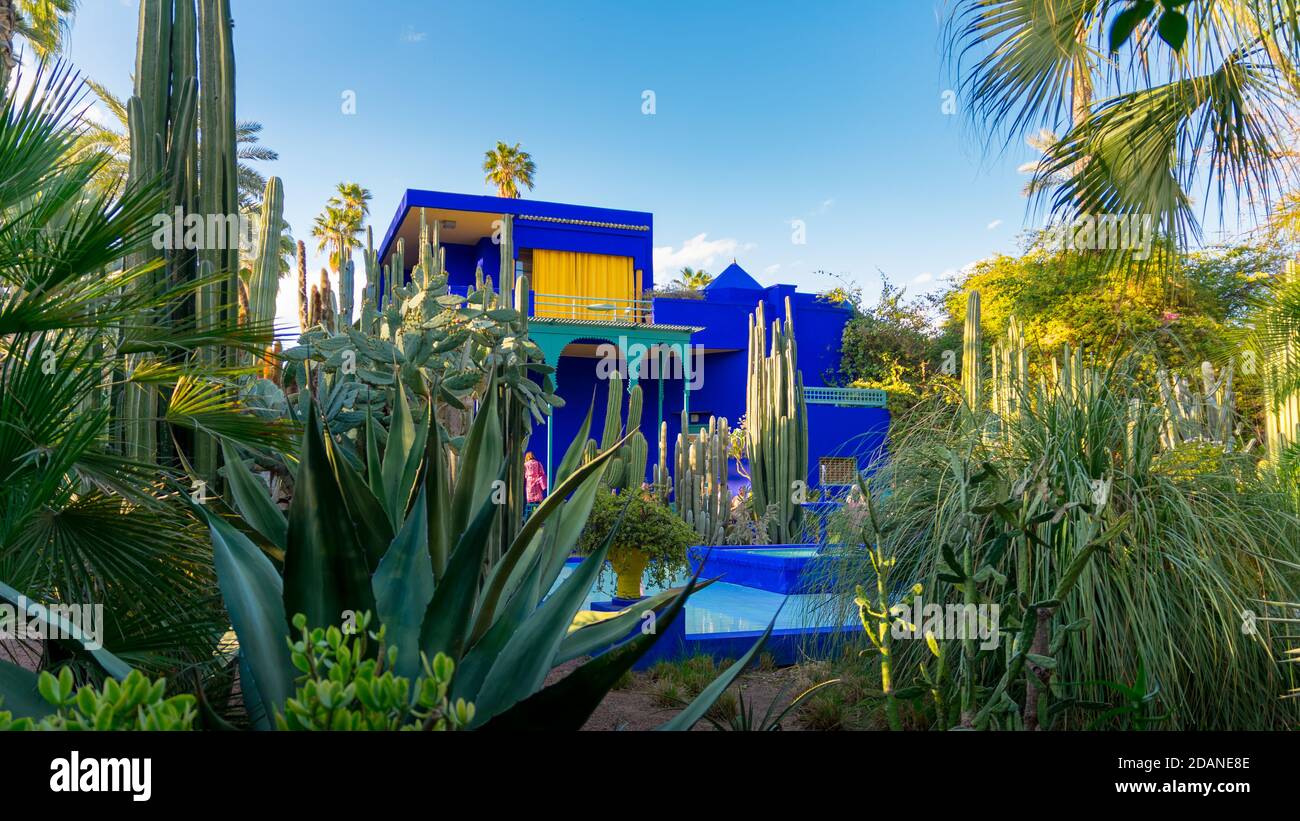 Lebendiges blaues Gebäude und Garten mit Kaptus und exotischen Pflanzen. Majorelle Garten. Konzept von Reisen und Architektur. Marrakesch, Marokko Stockfoto