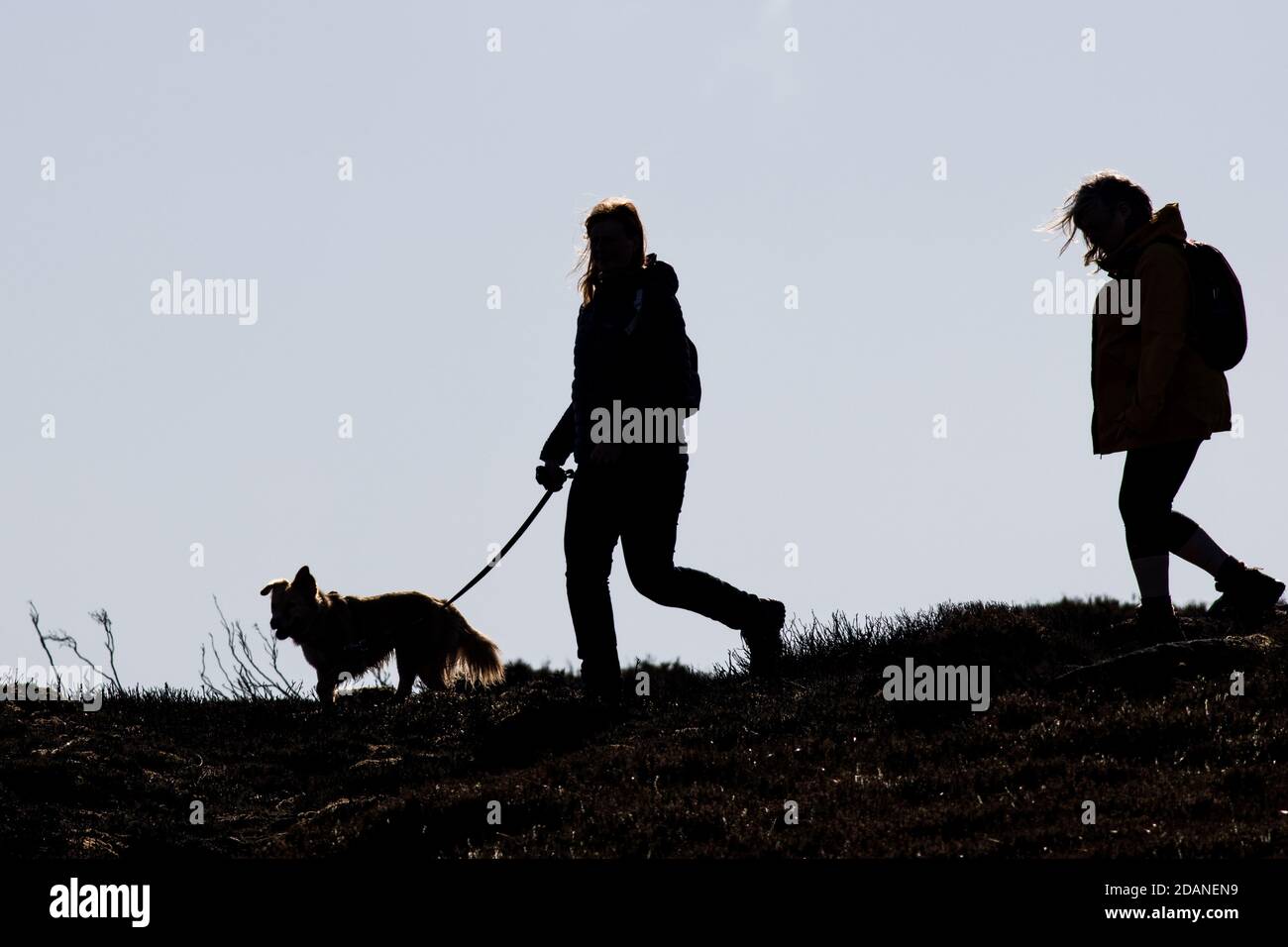 Silhouette, kreatives Bild von zwei Menschen, die mit einem Hund im Freien spazieren, England Stockfoto
