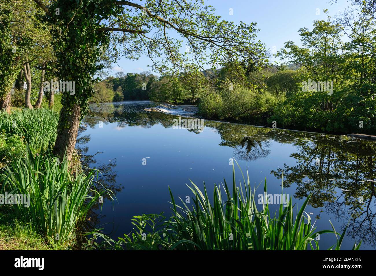 River Wharfe bei Addingham High Mill Weir on the Dales Weg Stockfoto