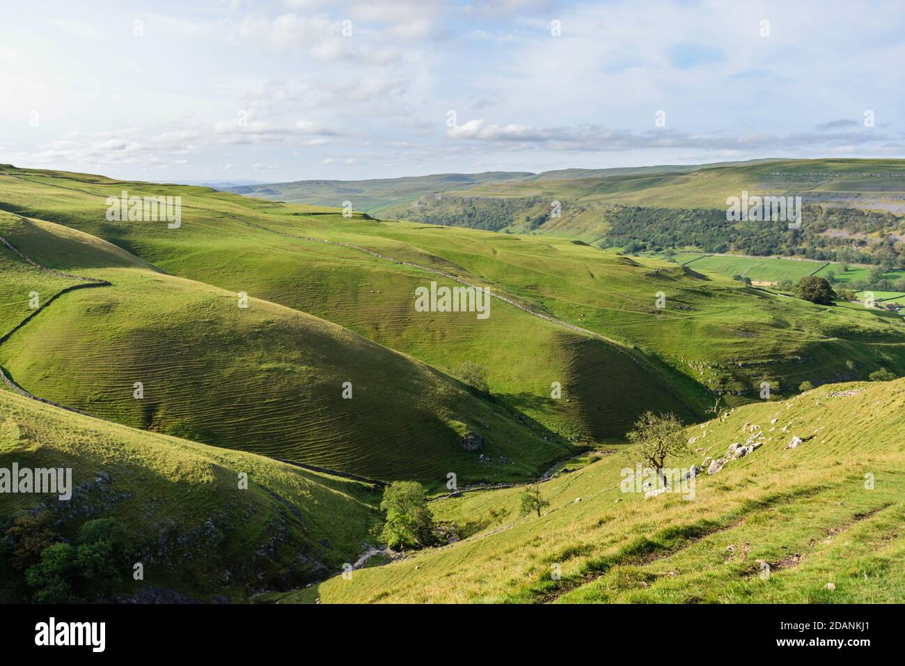 Blick auf Dowber Gill Richtung Kettlewell Stockfoto