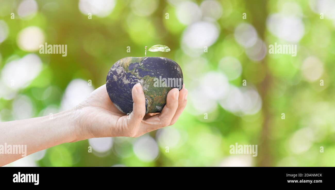 Earth Day Konzept. Hand halten Erde Form von Apfelfrüchten über grüne Natur Hintergrund. Elemente dieses Bildes, die von der NASA eingerichtet wurden Stockfoto