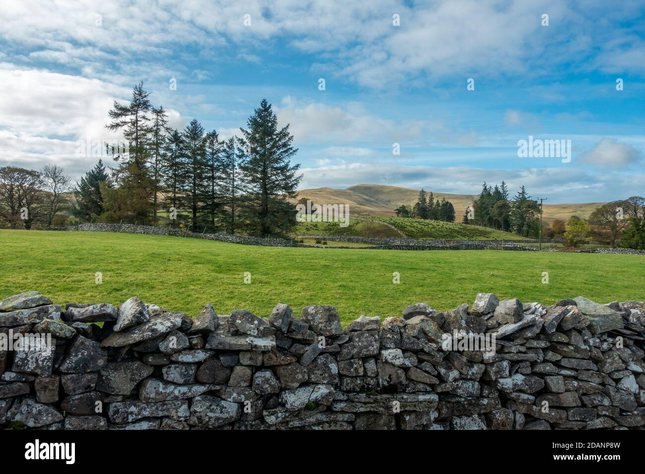 UK Landschaft: Cumbrian Blick auf Ackerland in Ravenstonedale in Richtung Howgills Berge, Cumbria Stockfoto