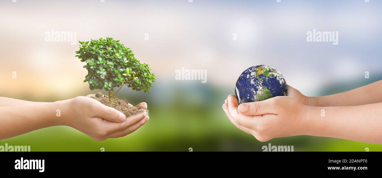 Umwelt Tag Konzept. Hände halten Baum und Erde Globus über grüne Natur Hintergrund. Elemente dieses Bildes, die von der NASA eingerichtet wurden Stockfoto