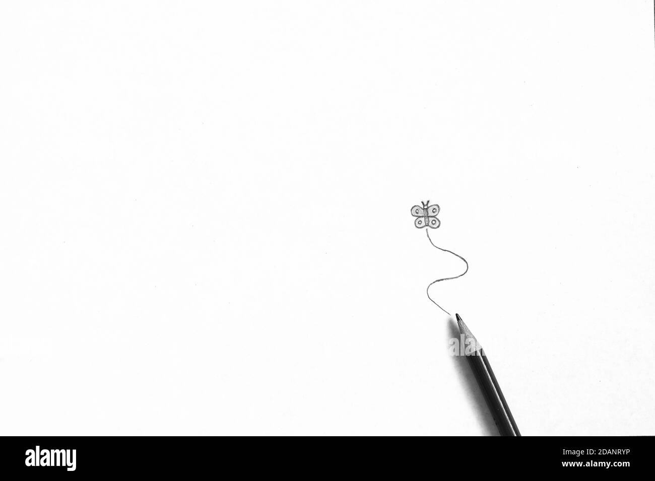 Ein minimalistisches abstraktes Schwarz-Weiß-Nahaufnahme-Porträt eines gezeichneten Schmetterlings auf weißem Hintergrund mit einem Zeichenstift darunter. Stockfoto