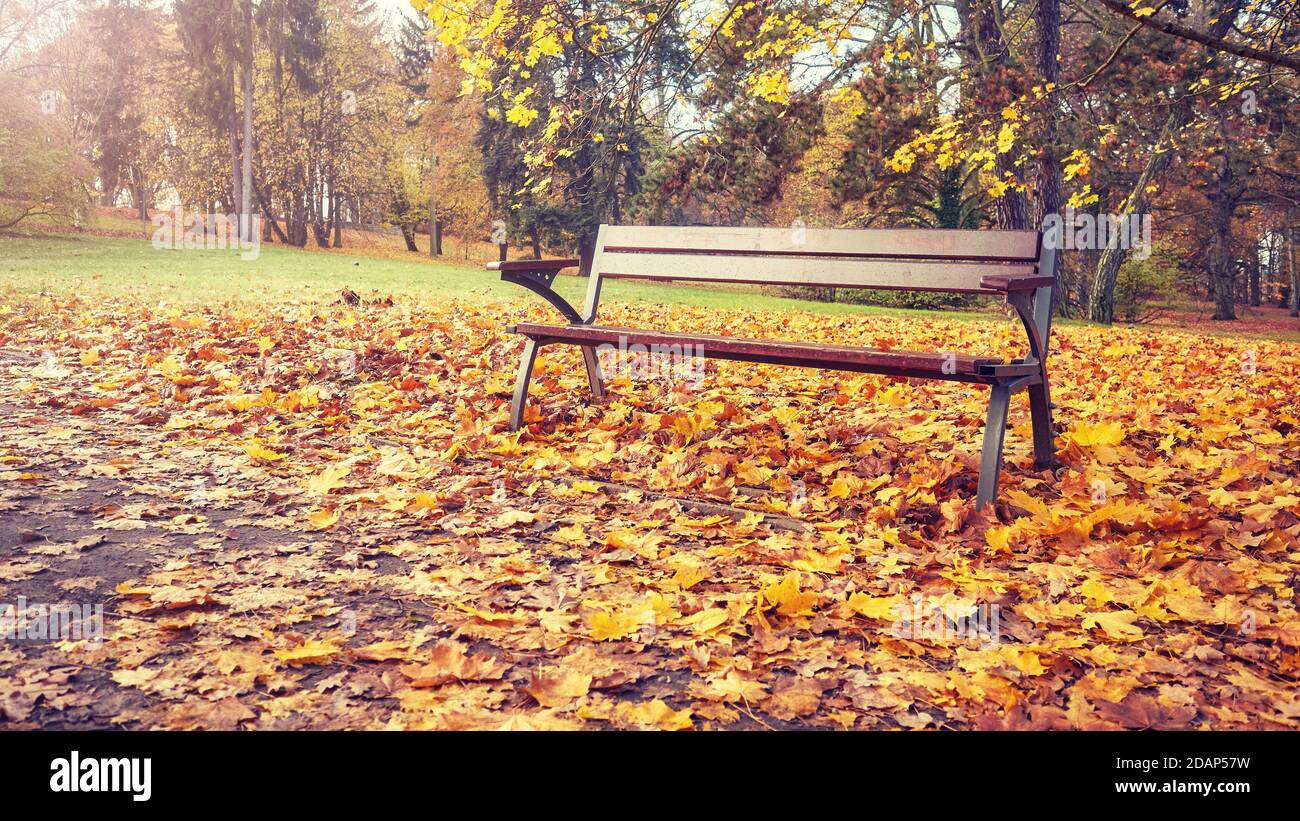 Leere Bank in einem Park im Herbst, Retro-Farben getönten Bild. Stockfoto