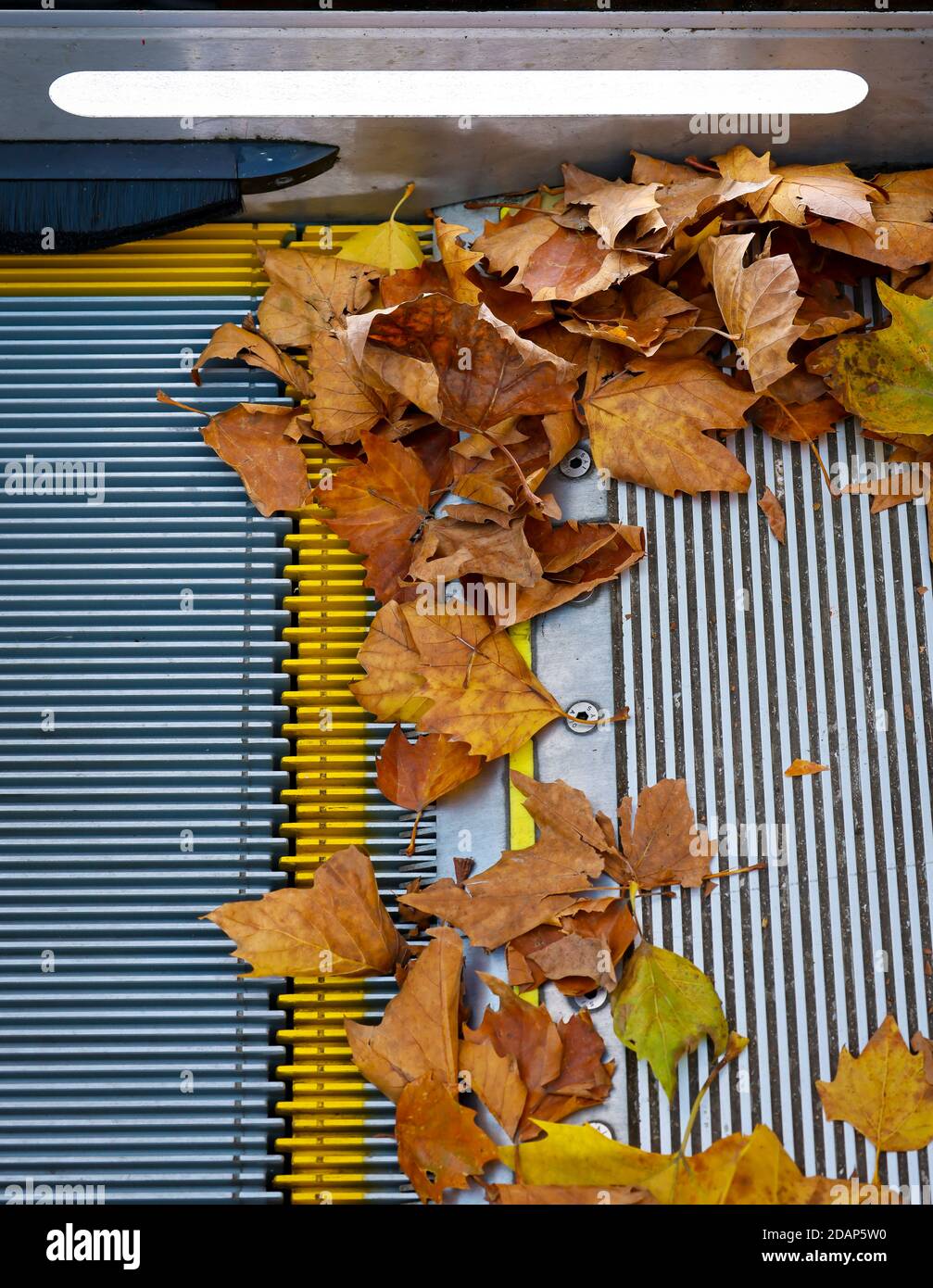 Essen, Ruhrgebiet, Nordrhein-Westfalen, Deutschland - buntes Herbstlaub liegt auf einer Rolltreppe. Stockfoto