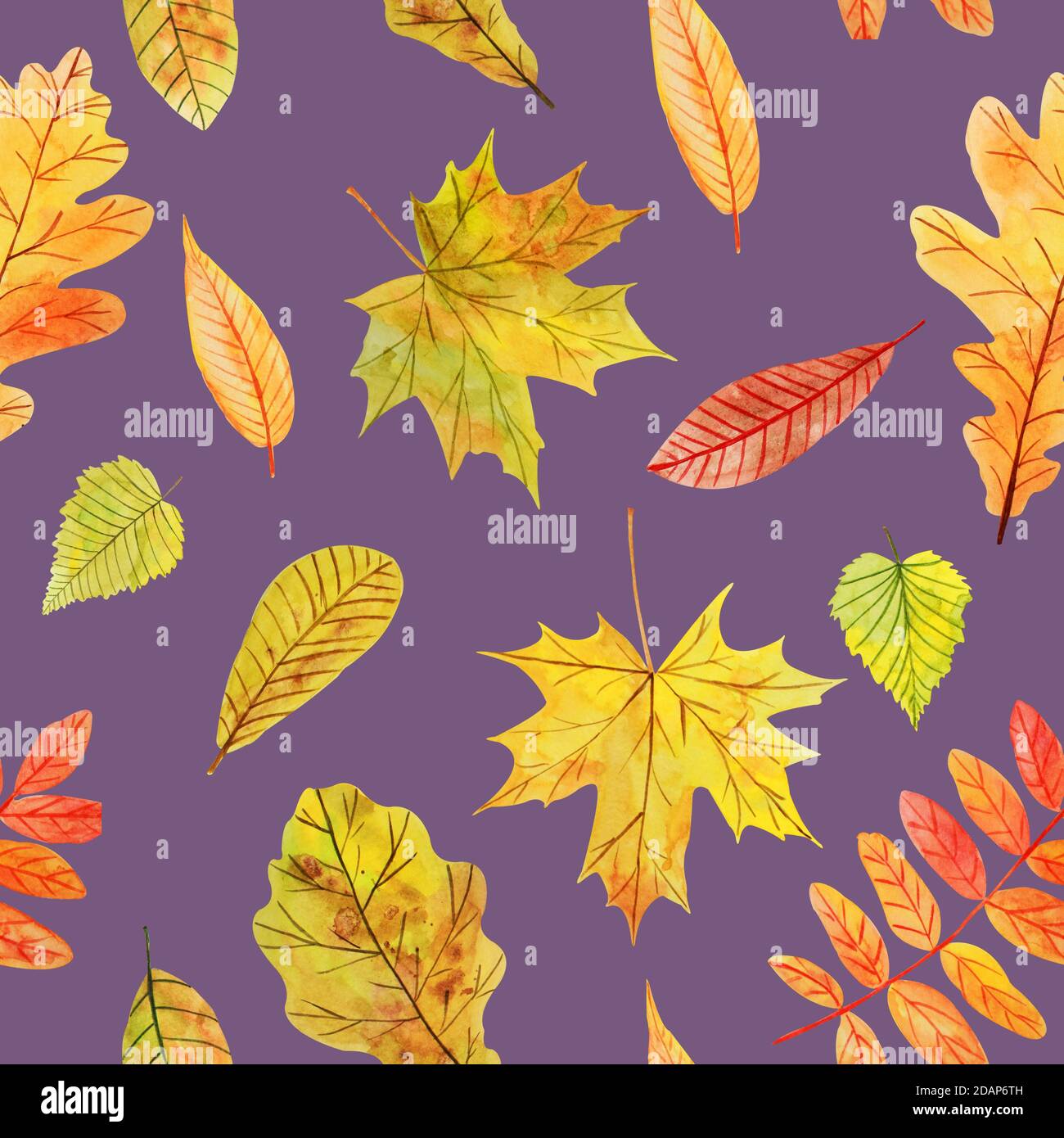 Buntes Nahtloses Muster mit wasserfarbenen Herbstblättern auf violettem Hintergrund. Stockfoto