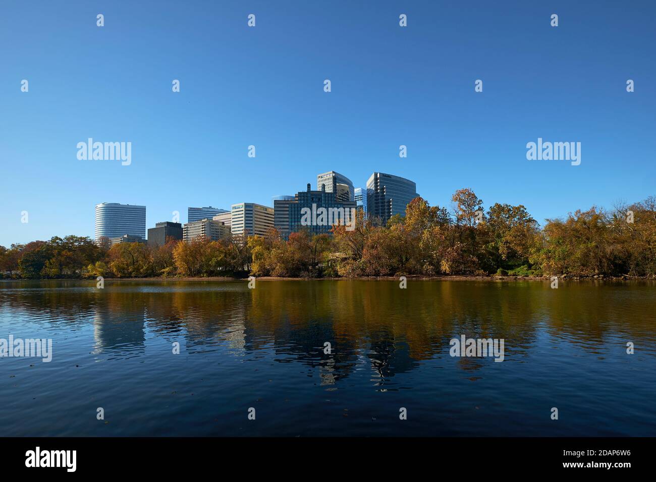 Der Blick auf die Skyline der Innenstadt von Rosslyn von der anderen Seite des Potomac Flusses im Herbst, Herbst mit wechselnden Blättern. In Rosslyn, Arlington, Virginia. Stockfoto