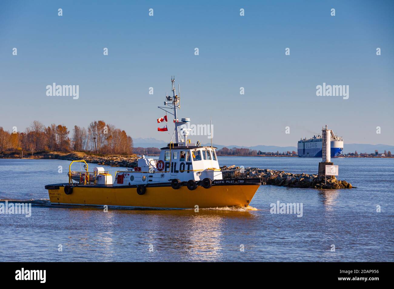 Canadian Pilot Boot auf dem Weg zu einem großen Auto zu treffen Transportschiff, das den Fraser River in der Nähe von Vancouver, Kanada, abfährt Stockfoto