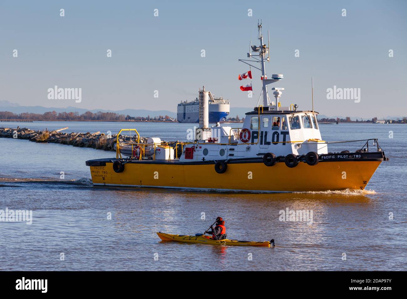 Canadian Pilot Boot auf dem Weg zu einem großen Auto zu treffen Transportschiff, das den Fraser River in der Nähe von Vancouver, Kanada, abfährt Stockfoto