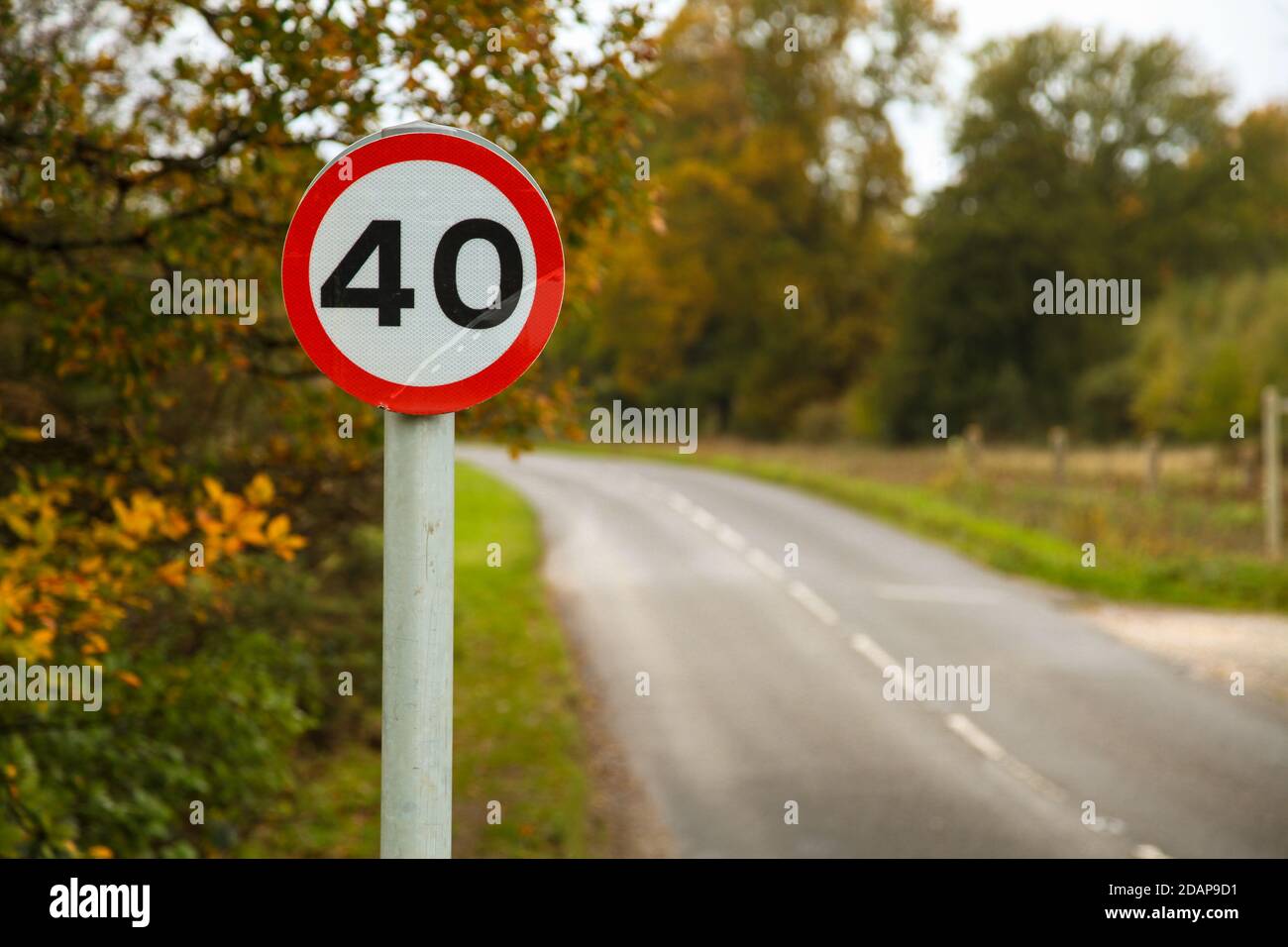 Straßenschild mit 40 km/h an der Road Ranmore Common Road, Surrey, England, Großbritannien, Herbst, November 2020 Stockfoto