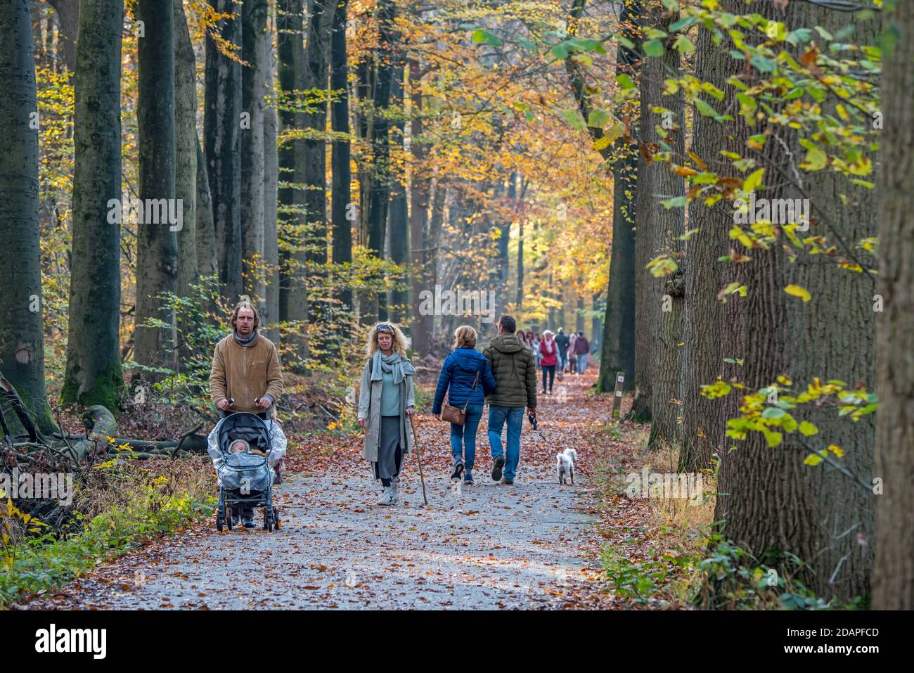 Wanderer / Familien zu Fuß entlang Waldweg im Wald während Wochenende im Herbst voll Stockfoto