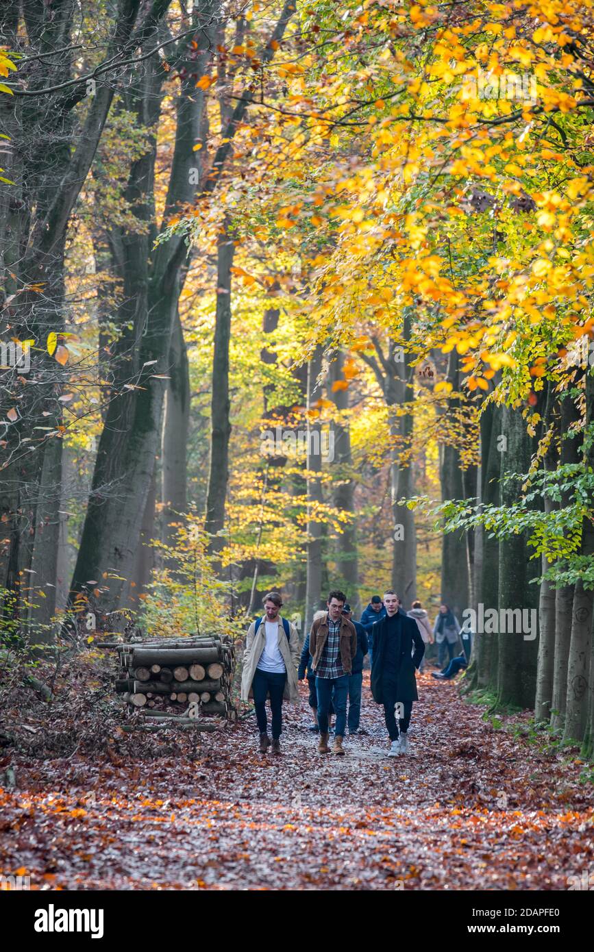 Wanderer / Familien zu Fuß entlang Waldweg im Wald während Wochenende im Herbst voll Stockfoto