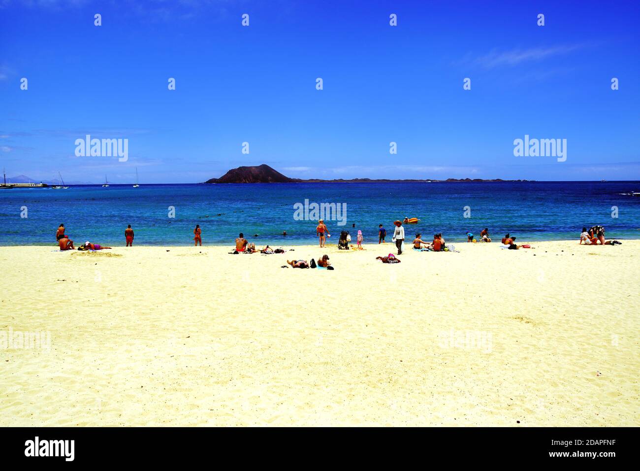 'Playa de la Goleta' in Corralejo auf Fuerteventura, Spanien Stockfoto