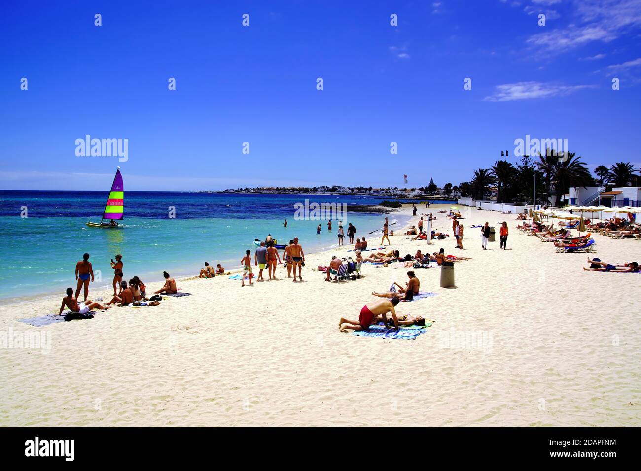 'Playa de Corralejo Viejo' im Corralejo auf Fuerteventura, Spanien Stockfoto