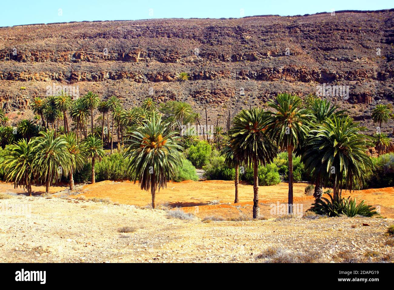 Die Schlucht von Ajuy in Fuerteventura, Spanien Stockfoto