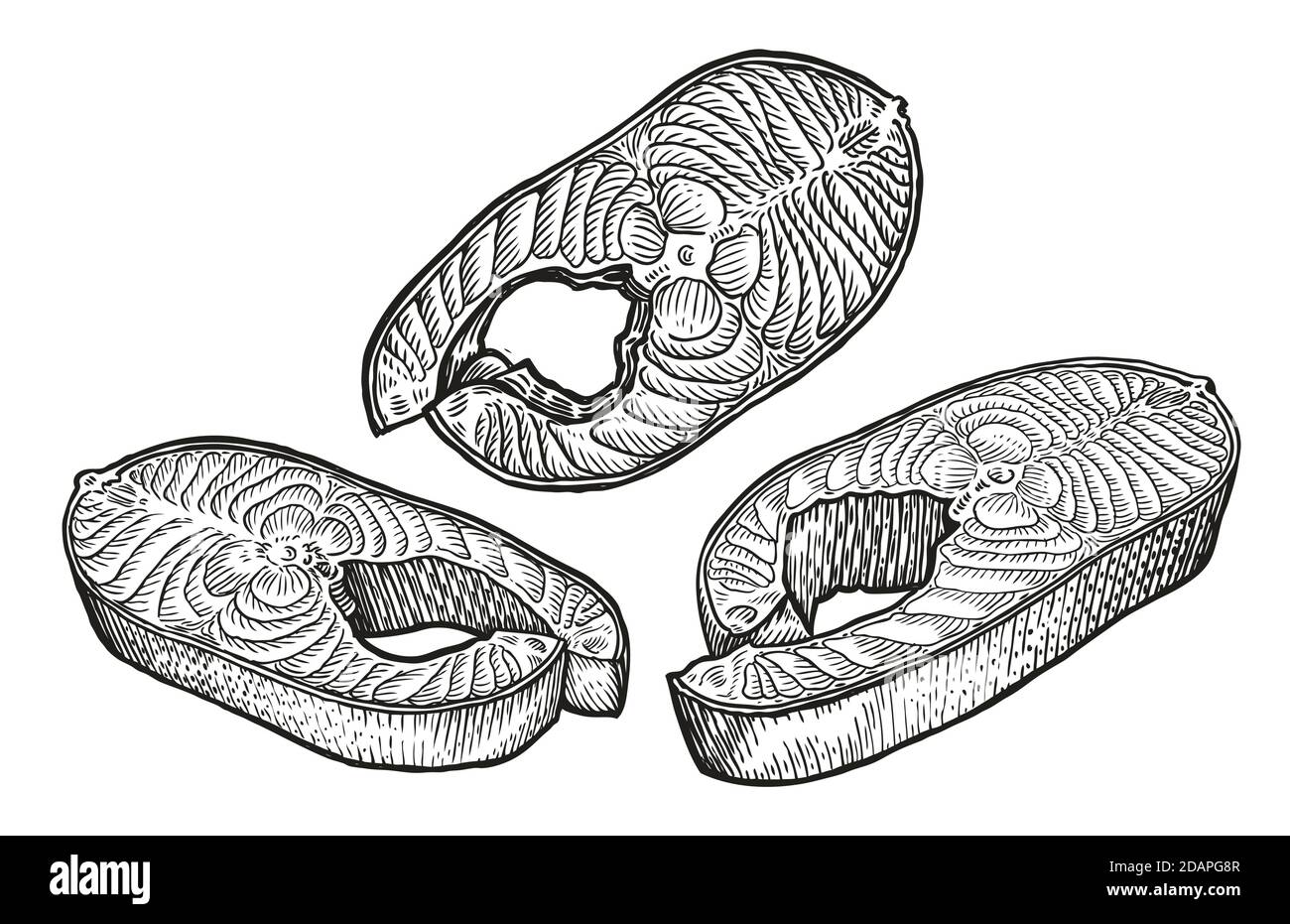 Fischsteak Skizze. Fleisch, Lebensmittel Konzept Vektor Illustration Stock Vektor