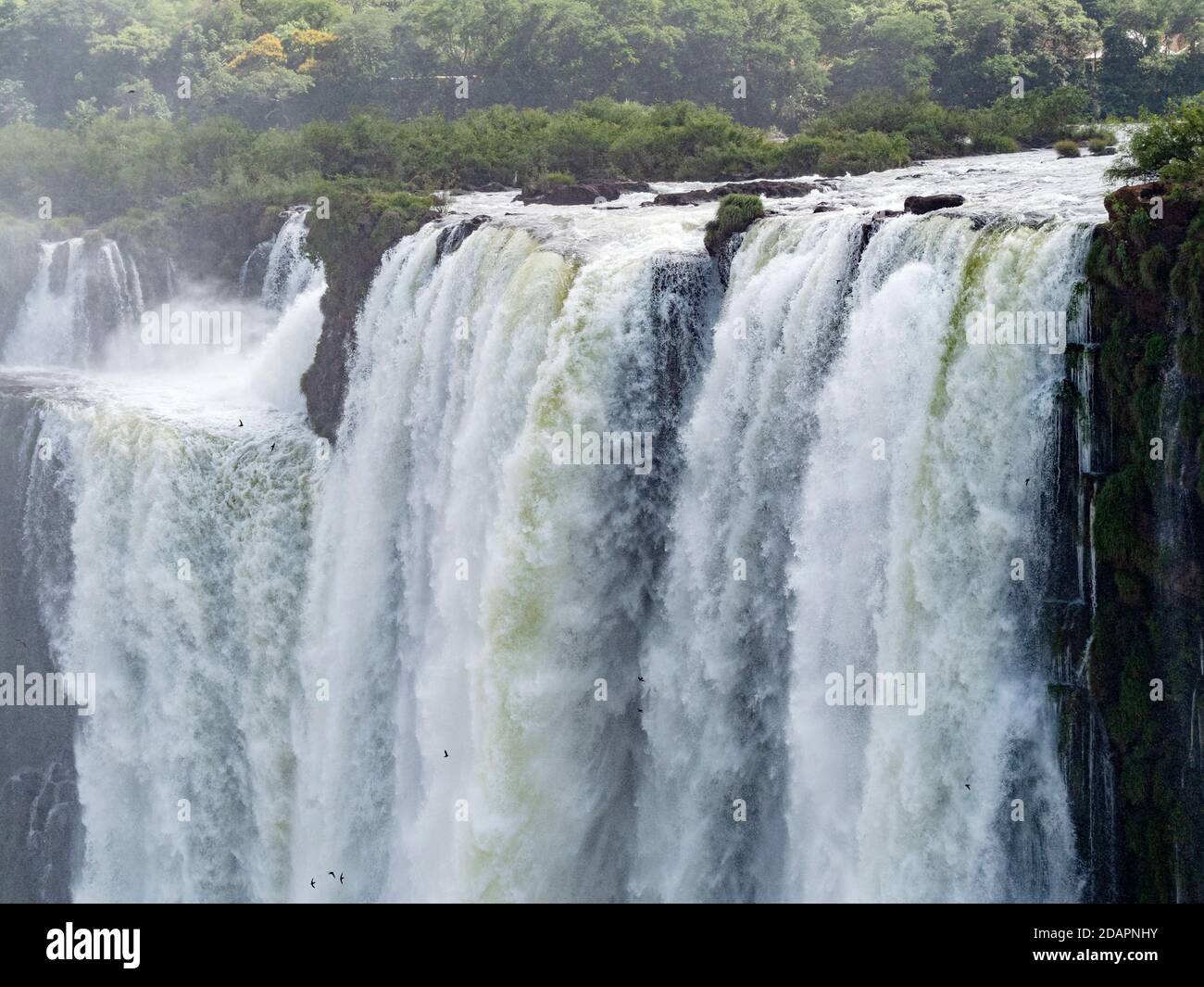 Teufelskehle, auf Spanisch als Garganta del Diablo bekannt, Iguazú Falls, Misiones Province, Argentinien. Stockfoto