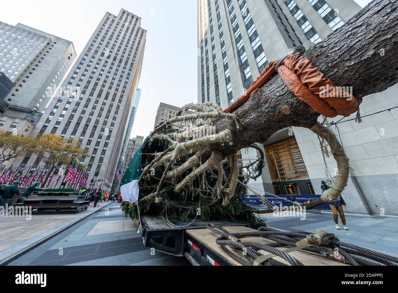 New York, NY - 14. November 2020: 2020 75-Fuß Rockefeller Center Christmas Tree von Oneonta Installation auf dem Rockefeller Plaza Stockfoto