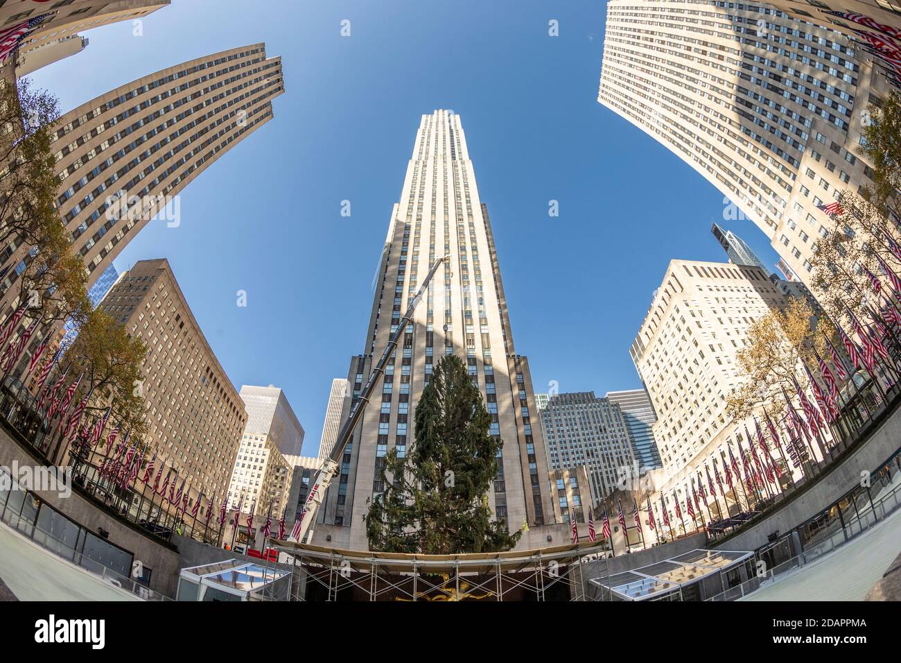 New York, NY - 14. November 2020: 2020 75-Fuß Rockefeller Center Christmas Tree von Oneonta Installation auf dem Rockefeller Plaza Stockfoto