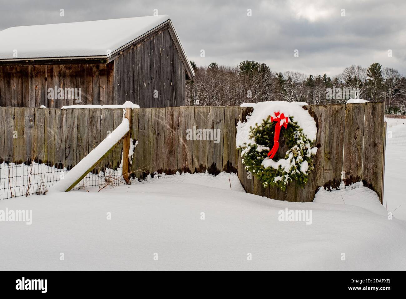 Ein großer schneebedeckter Weihnachtskranz hängt an einem Bauern Zaun Stockfoto