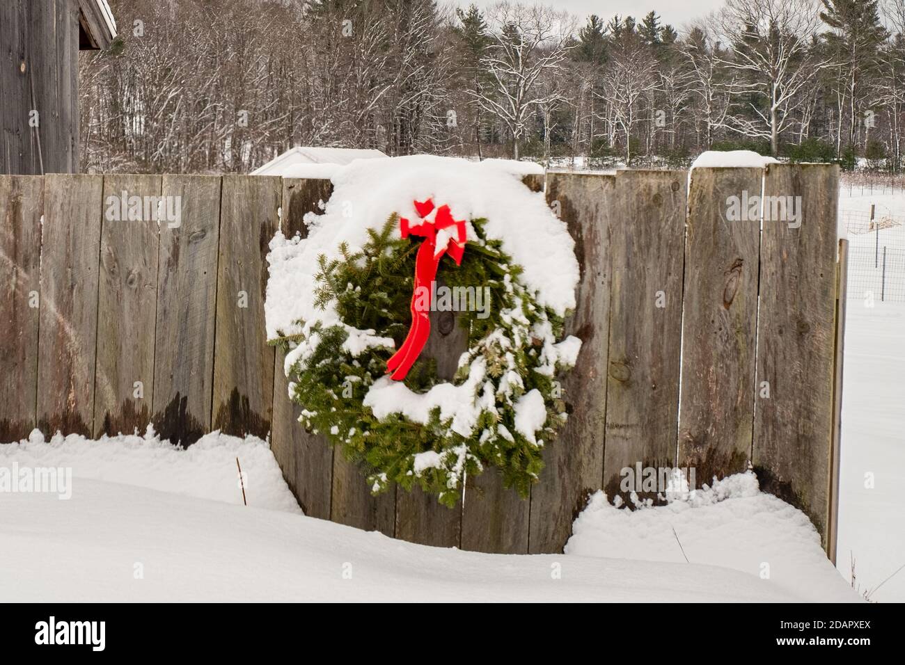 Ein großer schneebedeckter Weihnachtskranz hängt an einem Bauern Zaun Stockfoto